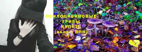 бошки Няндома