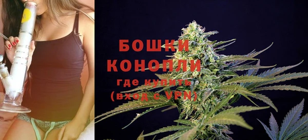 бошки Няндома