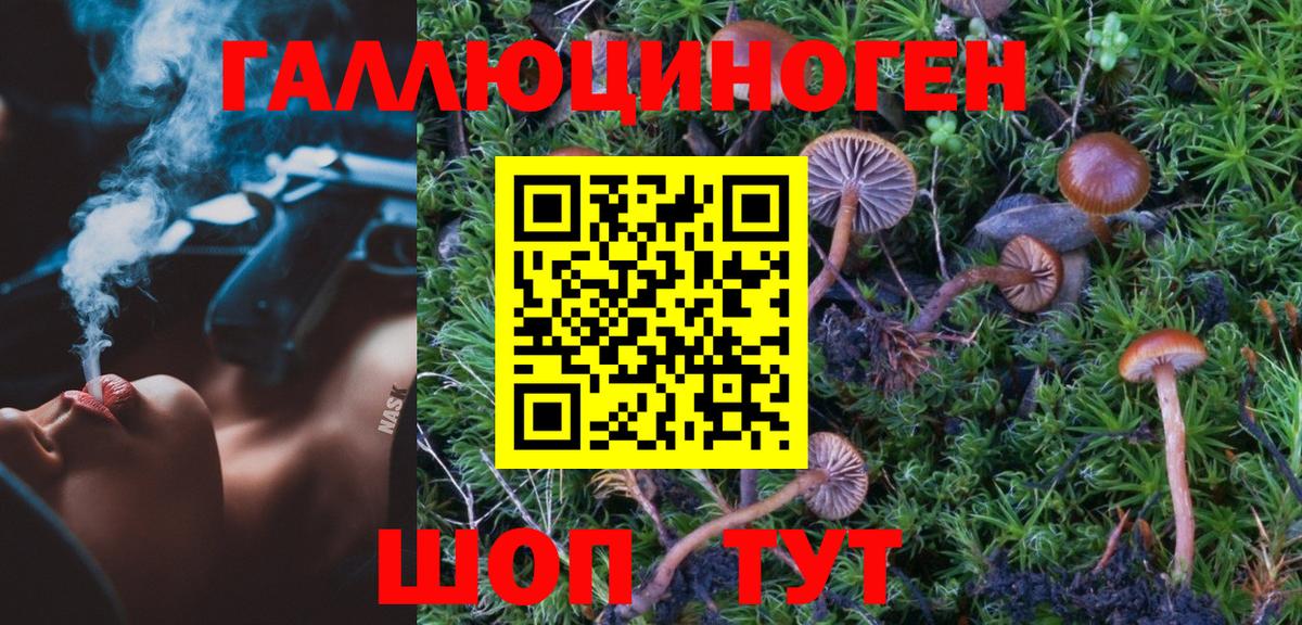 Псилоцибиновые грибы GOLDEN TEACHER  Псилоцибиновые грибы Cubensis  даркнет сайт  Вход с VPN  Чебоксары 