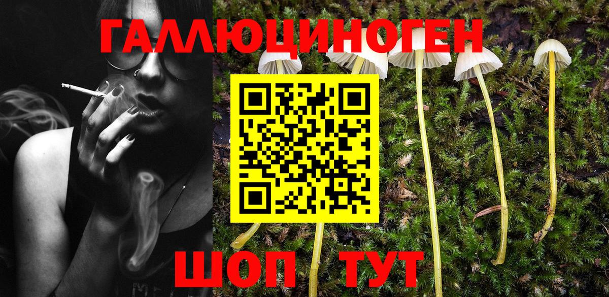 Псилоцибиновые грибы прущие грибы  наркошоп  Чебоксары 